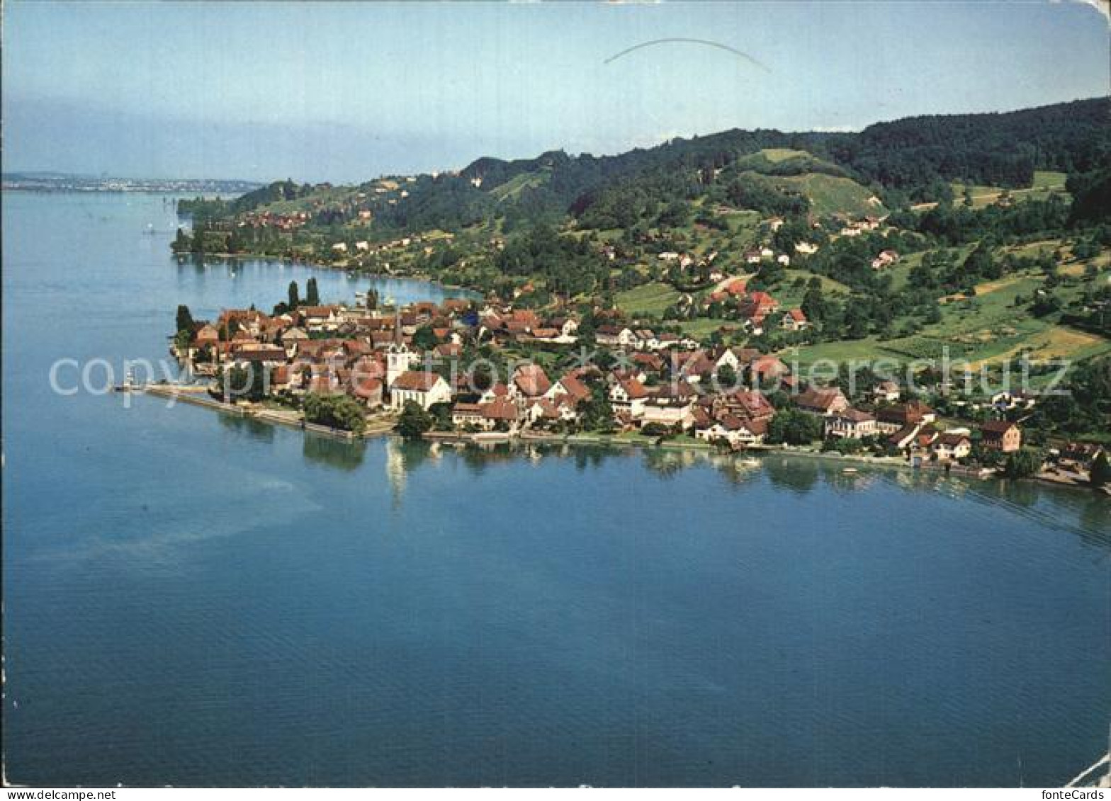 Berlingen Untersee Flugaufnahme