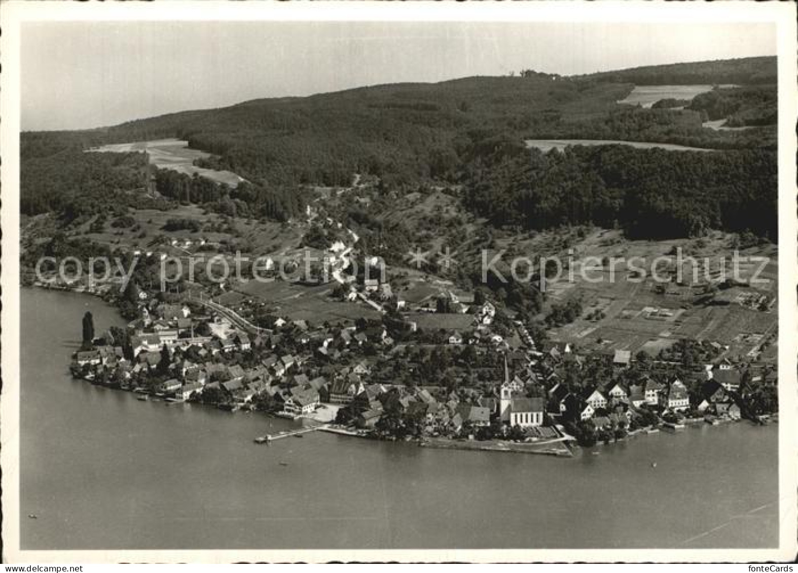 Berlingen Untersee Flugaufnahme