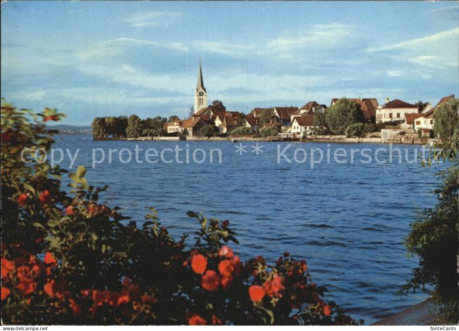 Berlingen Untersee Kirche Panorama