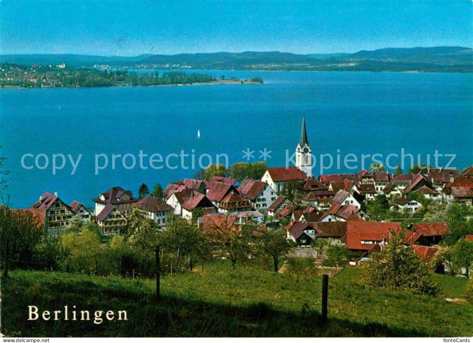 Berlingen Untersee Panorama