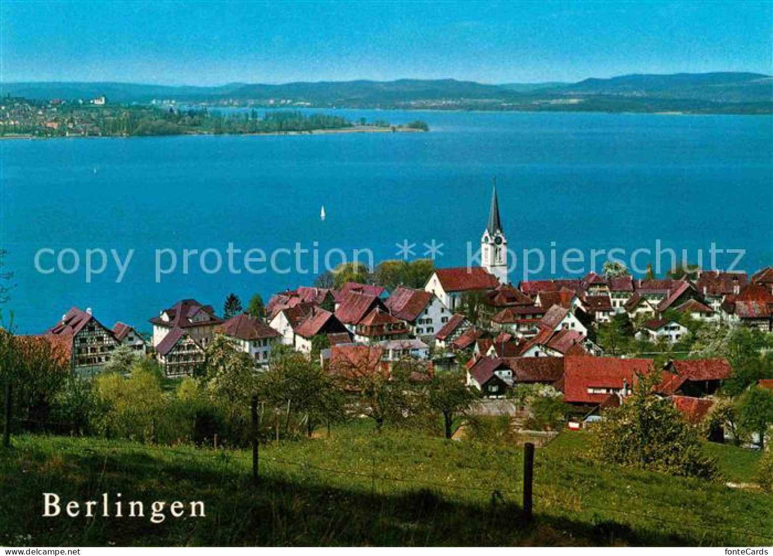 Berlingen Untersee Panorama