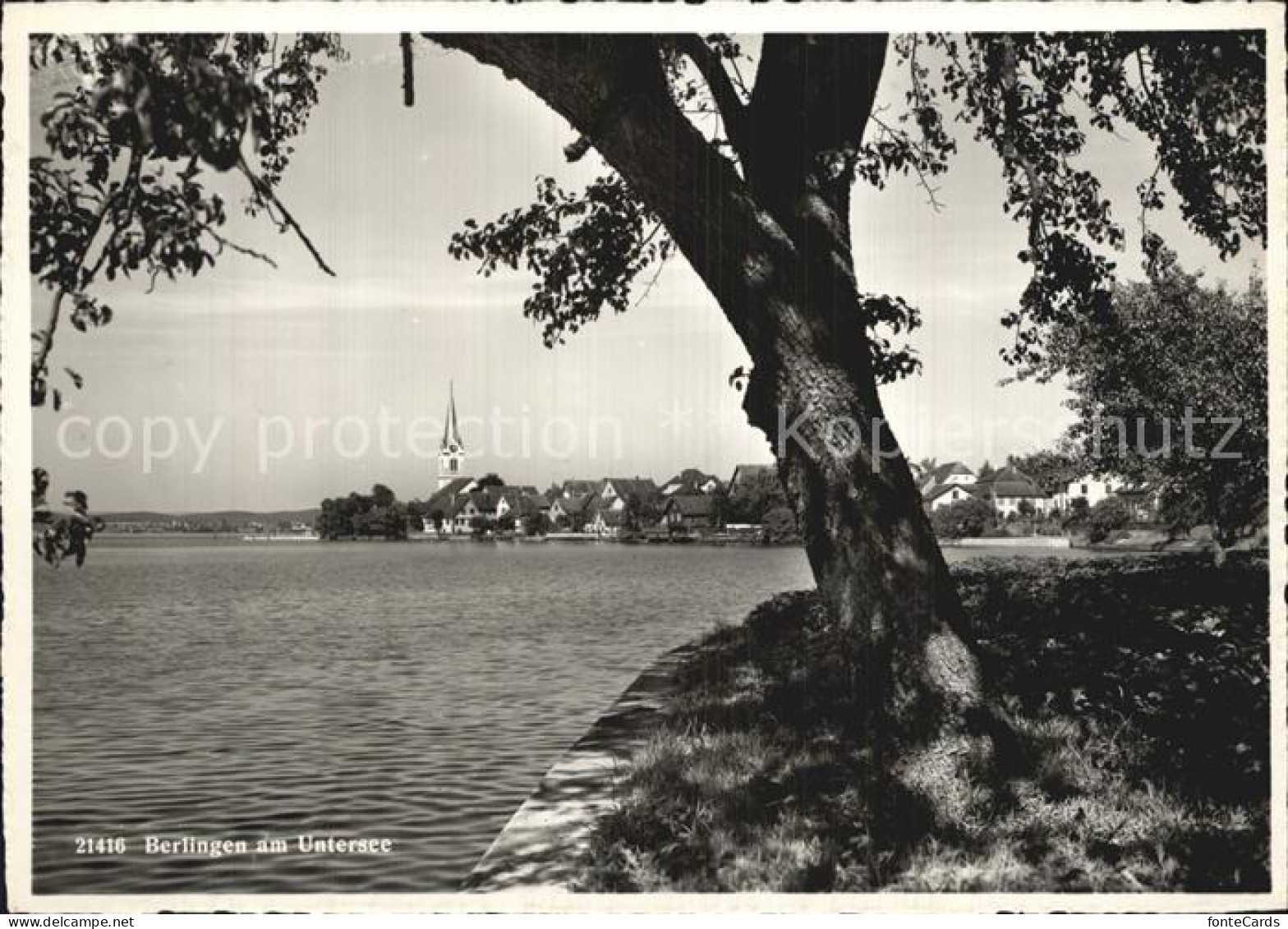 Berlingen Untersee Panorama