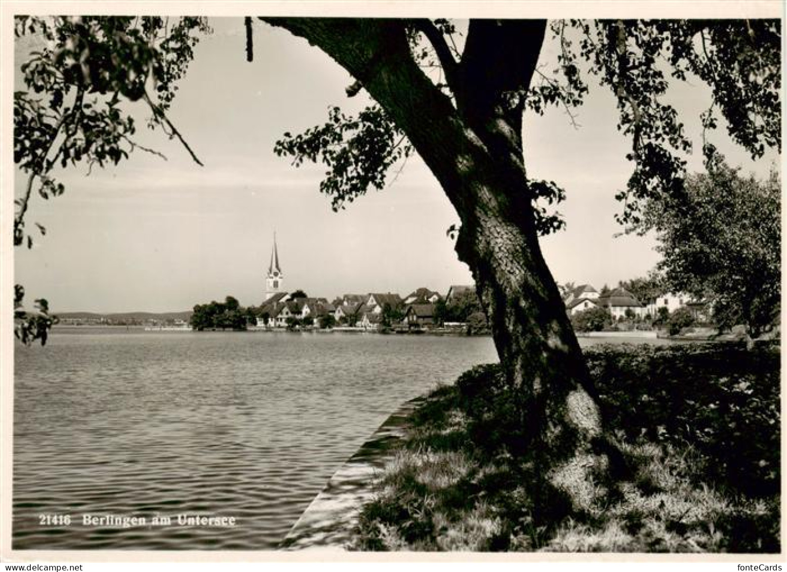 Berlingen Untersee Panorama