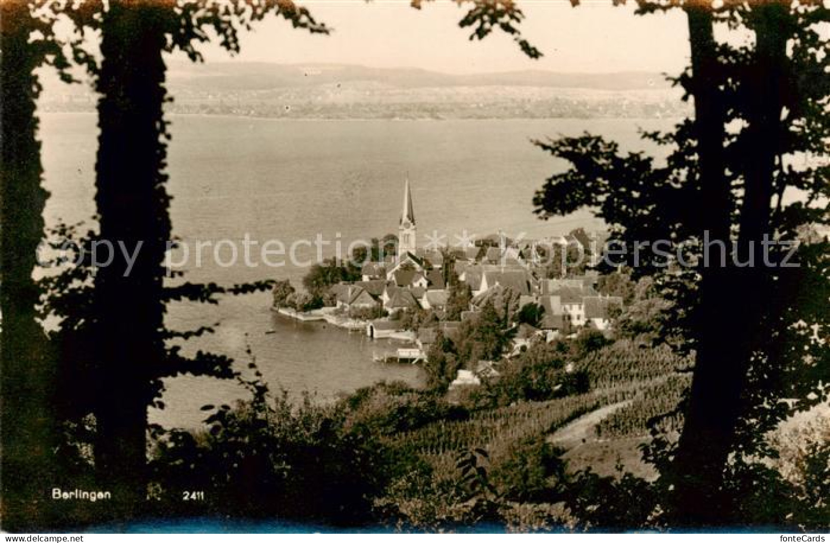 Berlingen Untersee Panorama