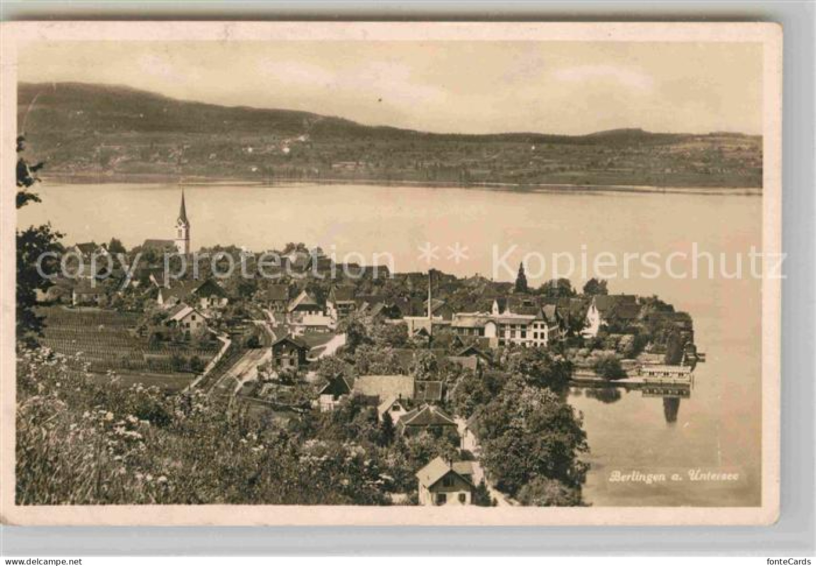 Berlingen Untersee Panorama