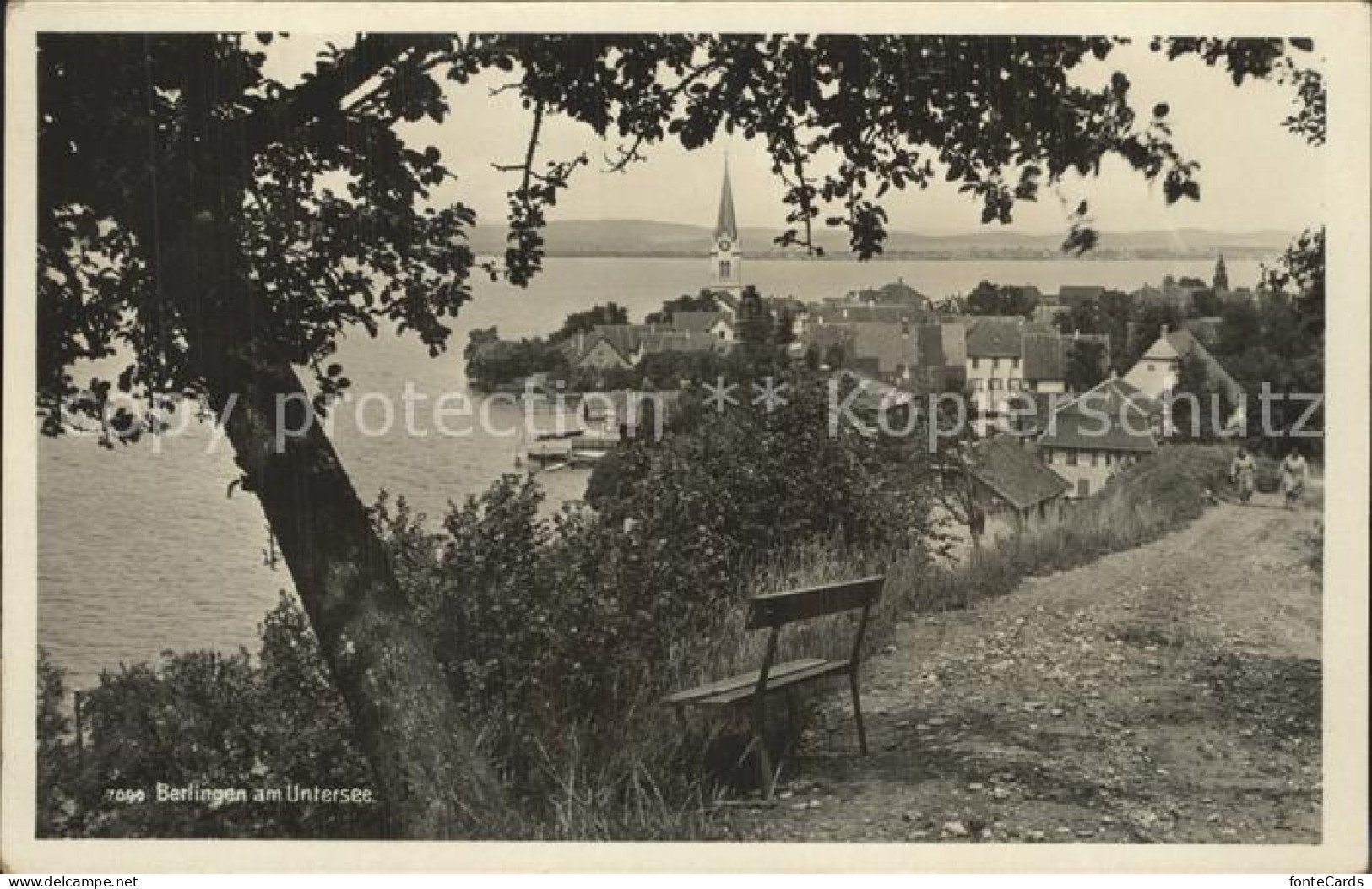 Berlingen Untersee Panorama