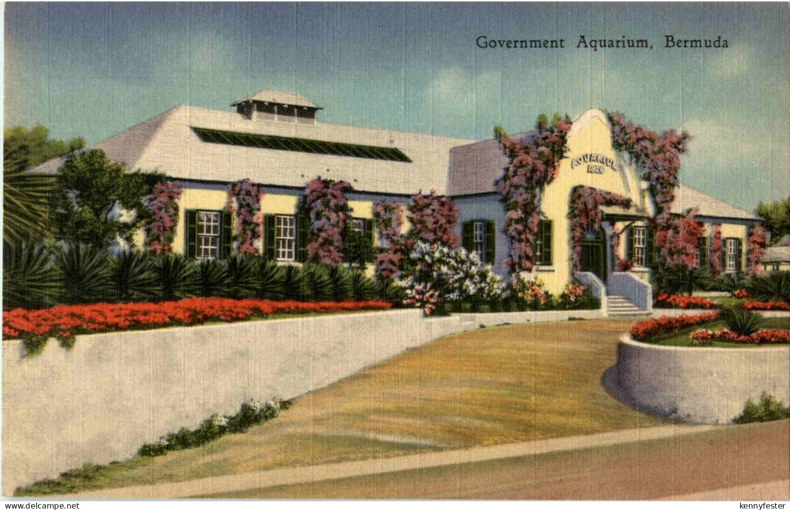 Bermuda - Government Aquarium