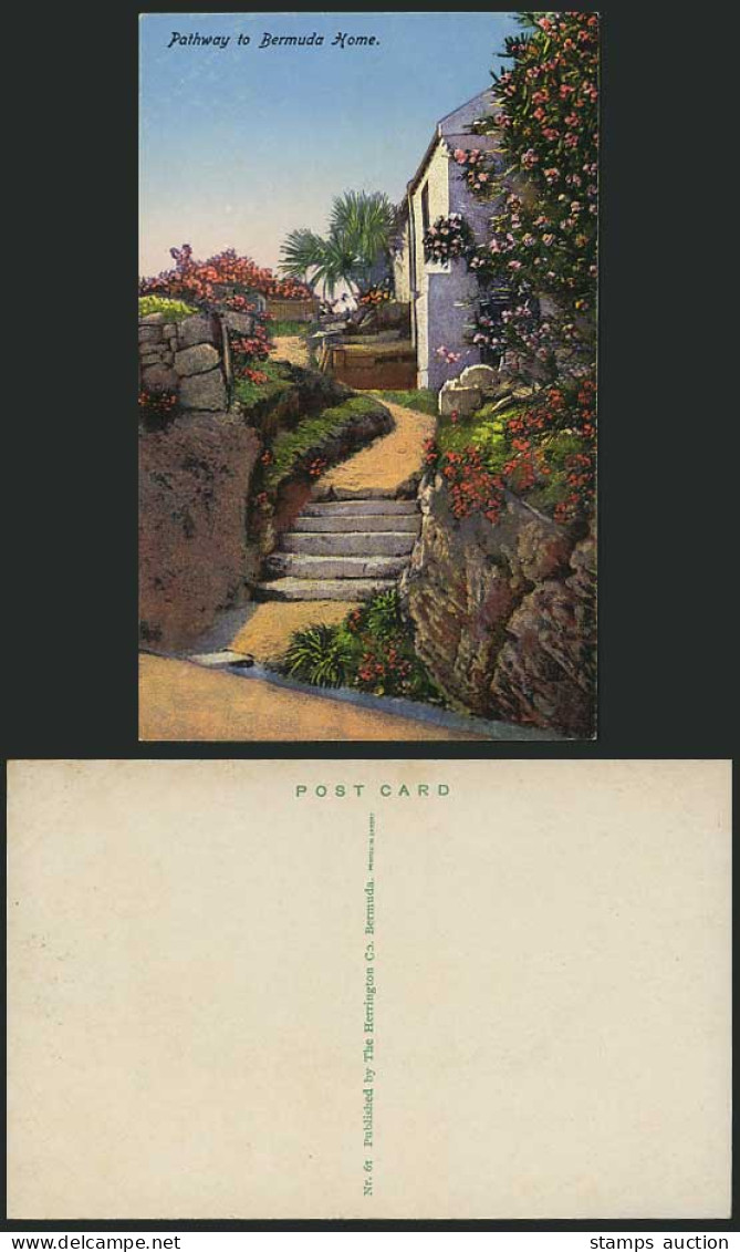 Bermuda Old Postcard Pathway to Bermuda Home Cottage Flowers