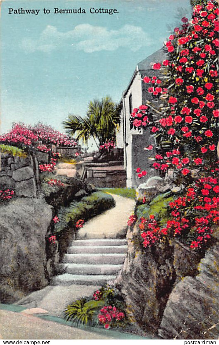 Bermuda - Pathway to Bermuda College - Publ. The Herrington Co. 61
