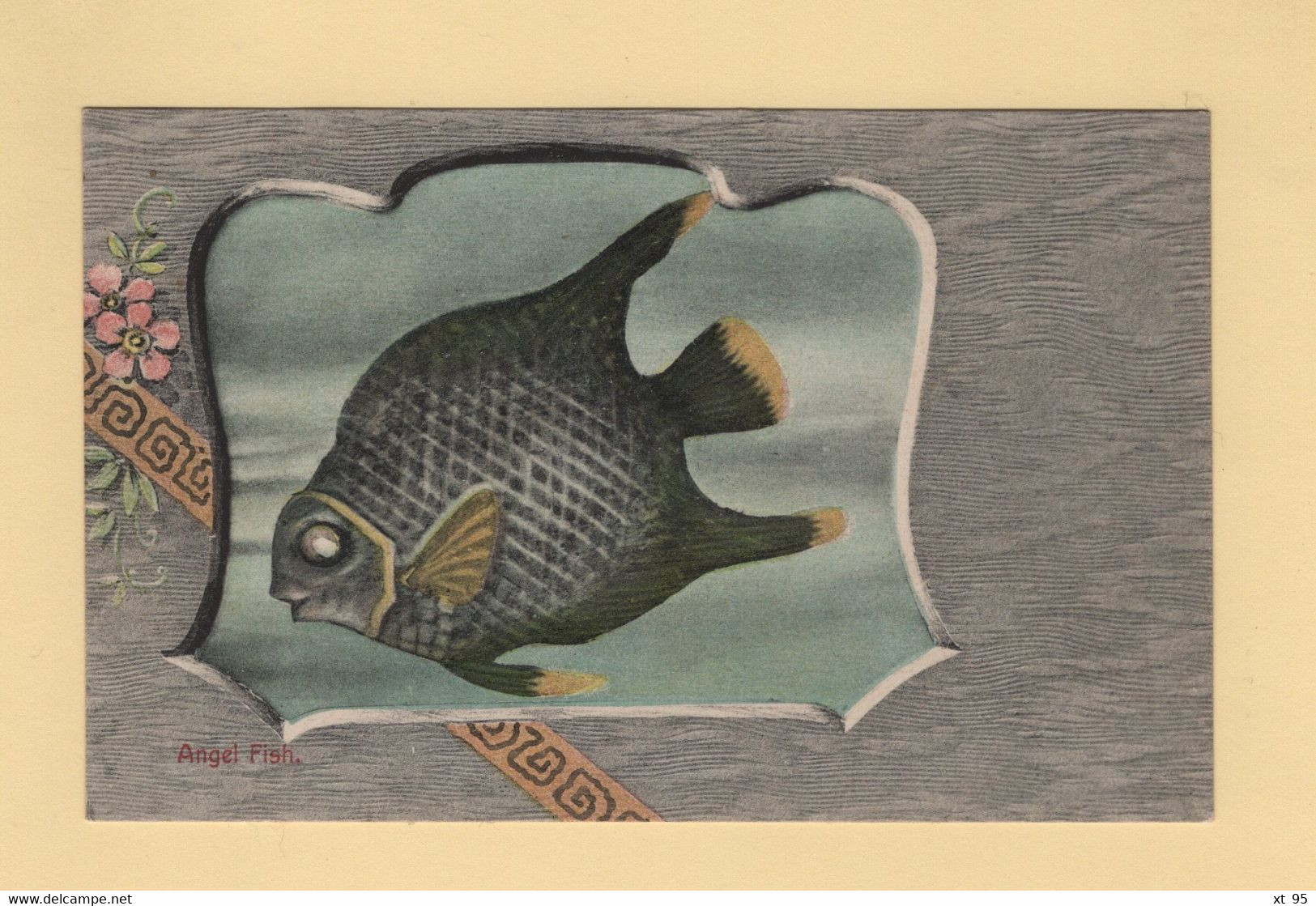 Bermudes - Bermuda - Angel Fish