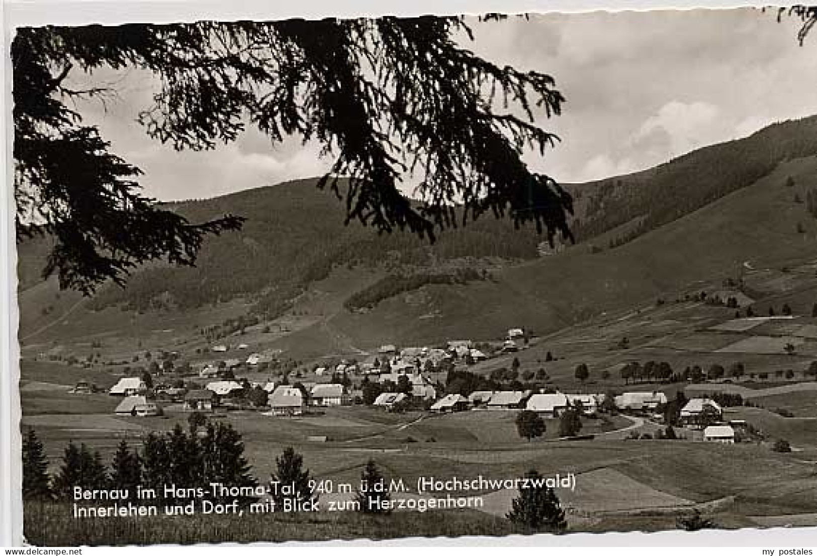 Bernau Schwarzwald Bernau