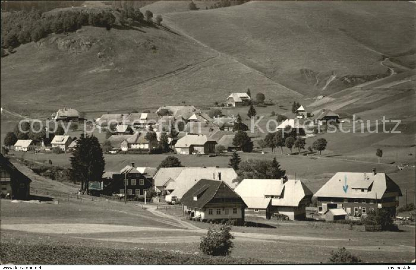 Bernau Schwarzwald Panorama