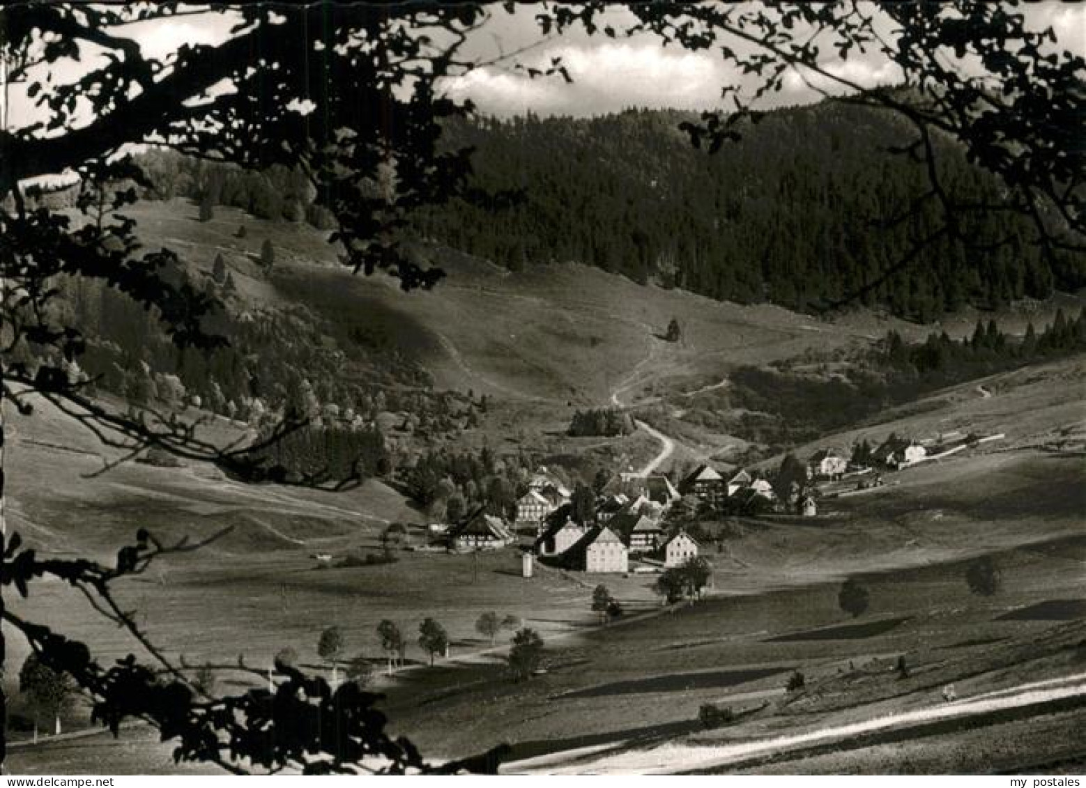 Bernau Schwarzwald Panorama