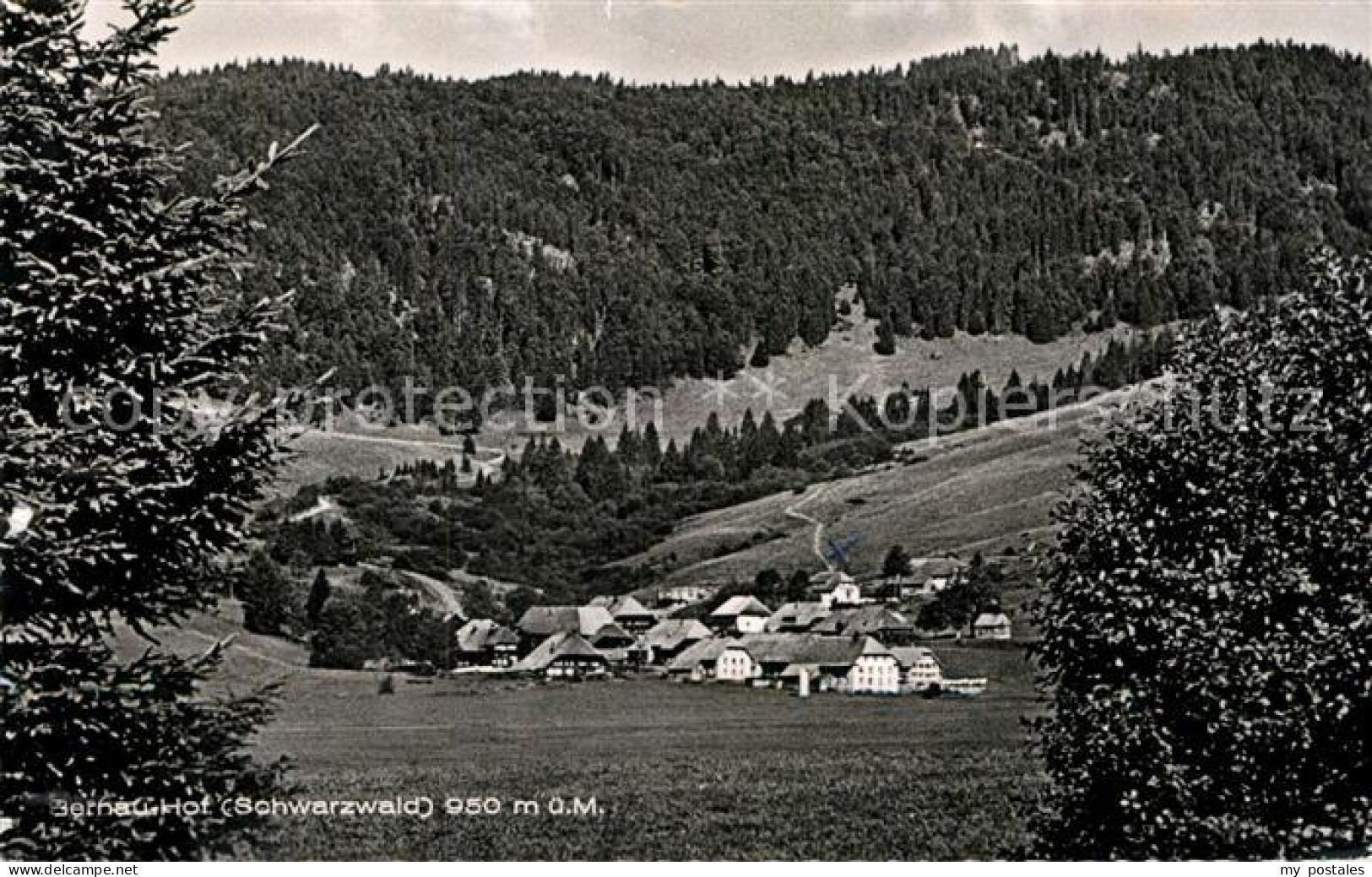 Bernau Schwarzwald Teilansicht