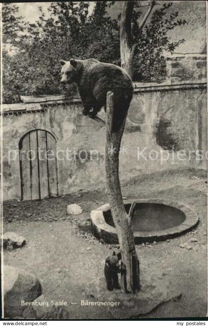 Bernburg Saale Baerenzwinger