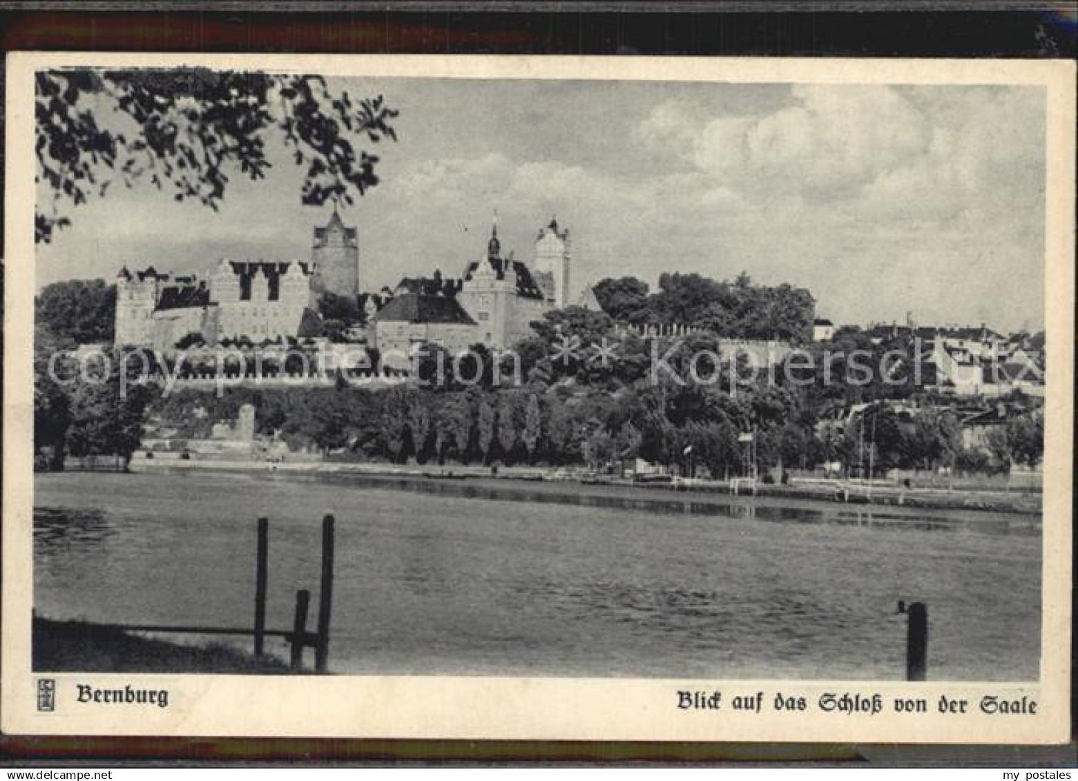 Bernburg Saale Blick auf das Schloß von der Saale
