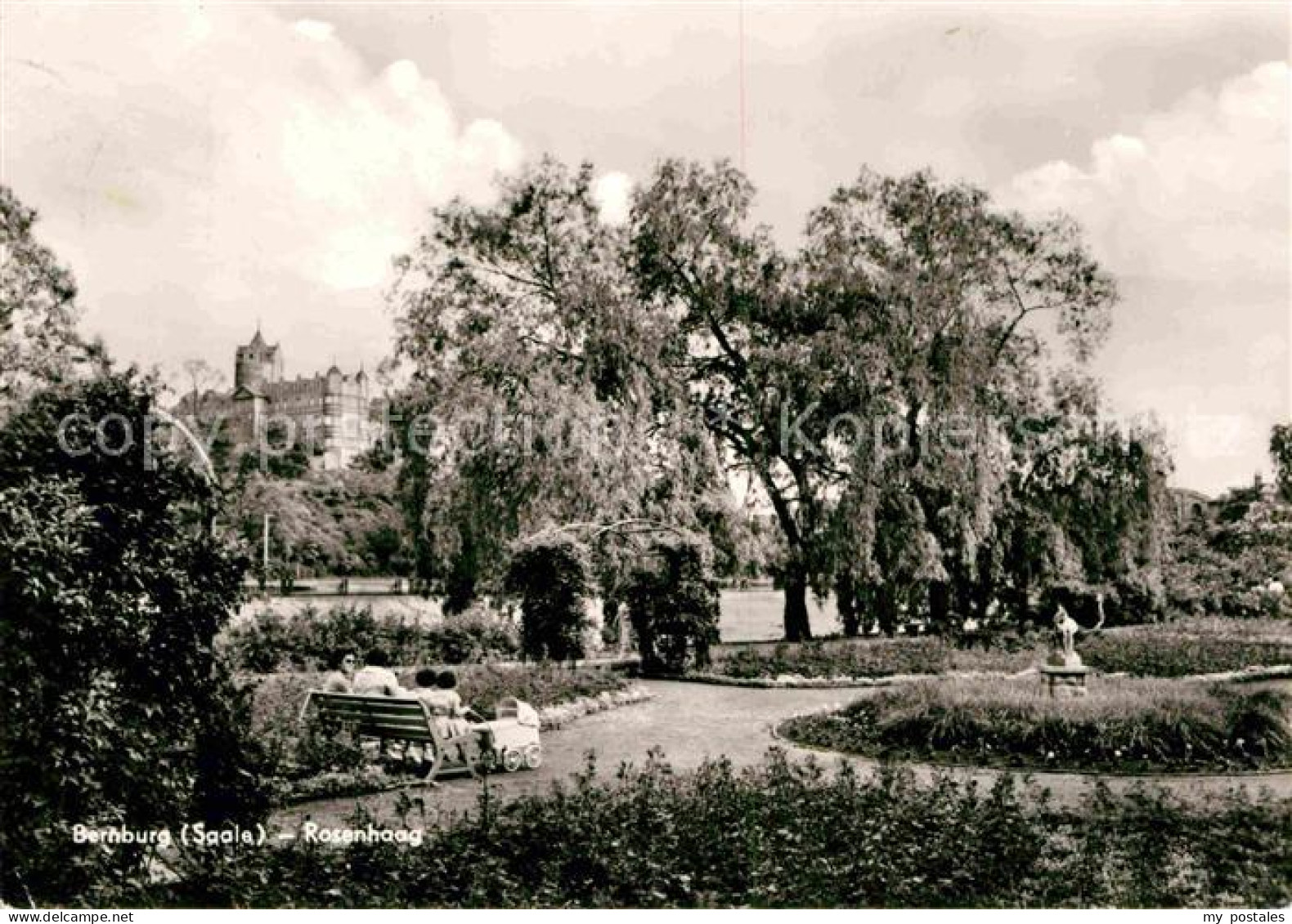 Bernburg Saale Rosenhaag