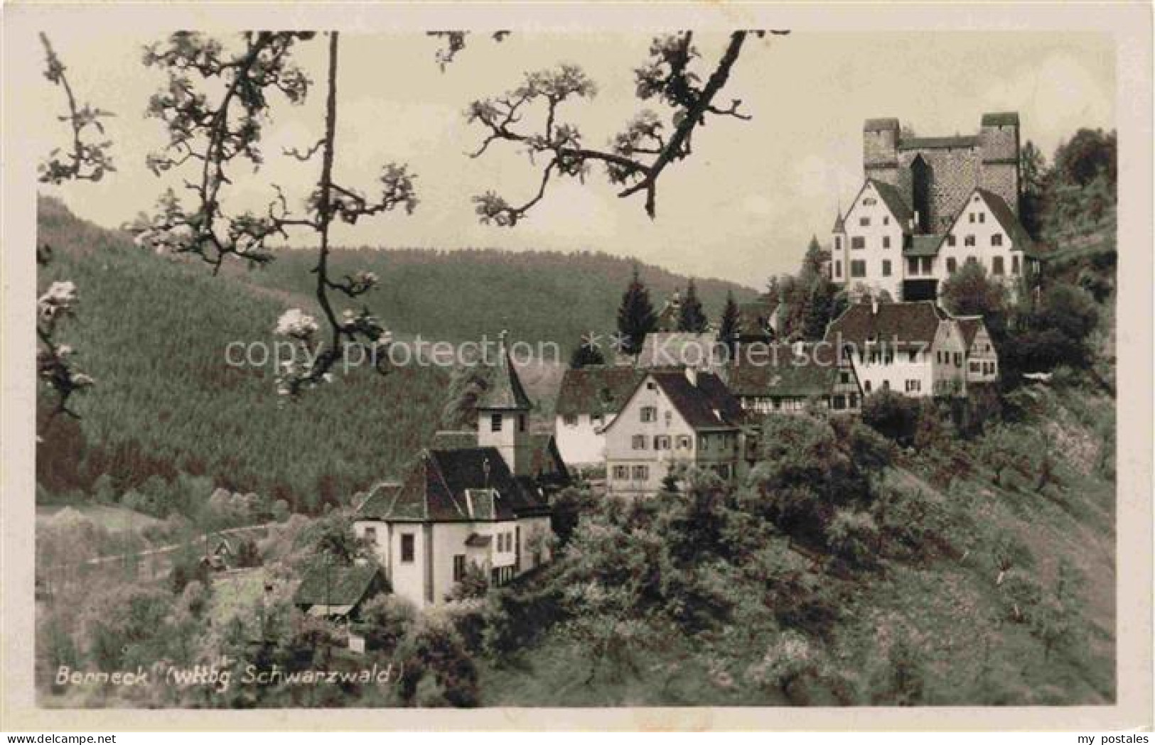 Berneck Altensteig Calw BW Burg Berneck