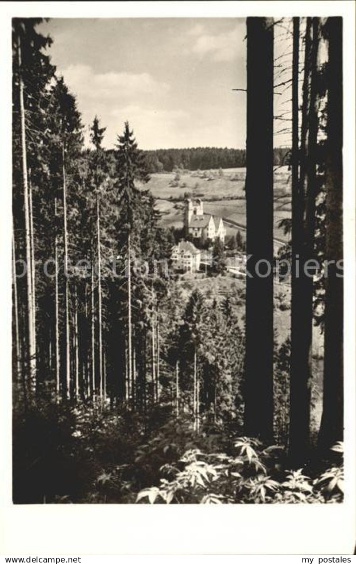 Berneck Altensteig Waldpartie Burg Berneck Frhr von Gueltlingen und von Schlepeg