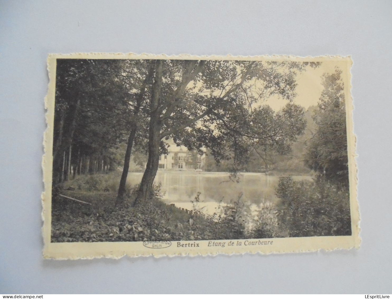 BERTRIX  Etang de la Courbeurre CPSM Carte postale PK Post Kaart Card