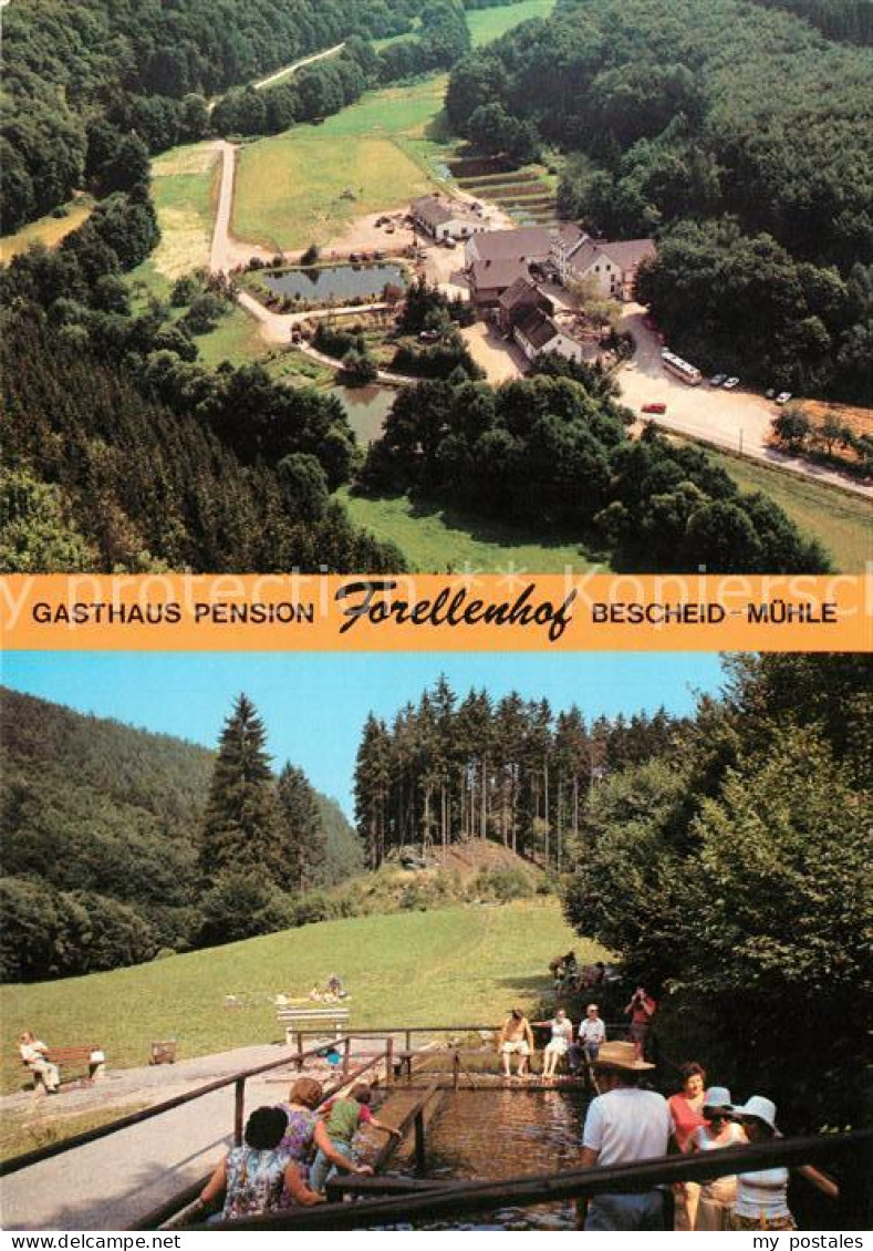Bescheid Hermeskeil Gasthaus Pension Forellenhof