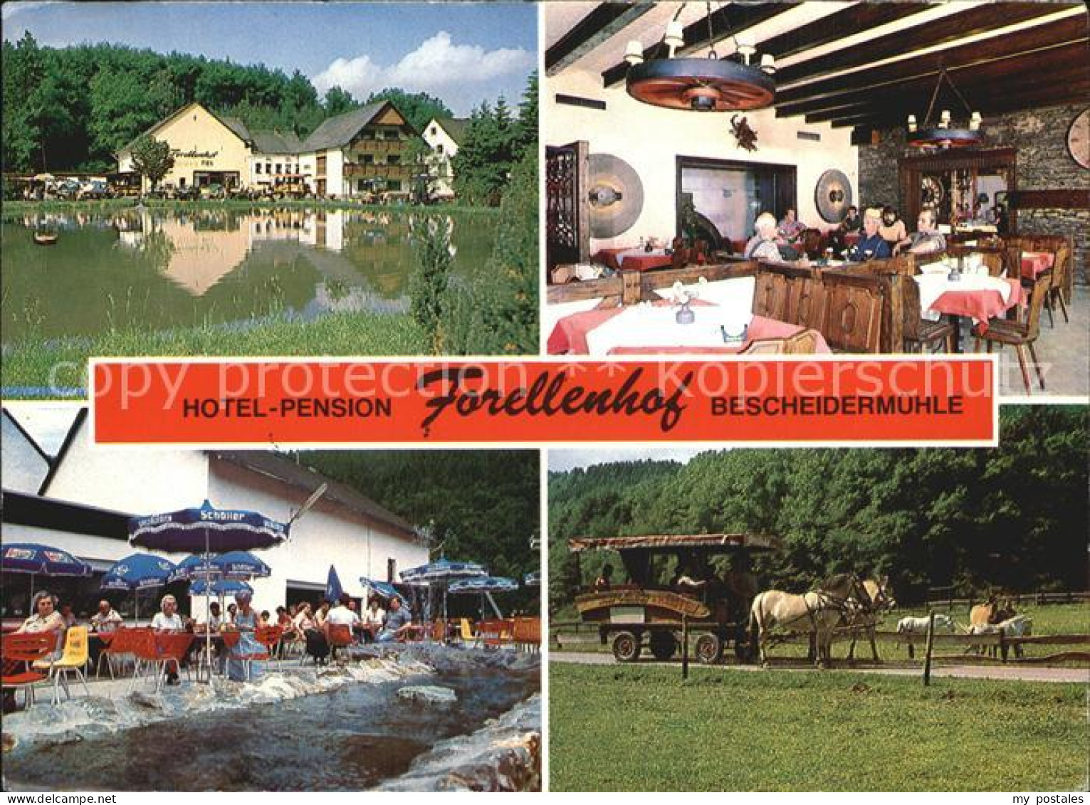 Bescheid Hermeskeil Hotel Forellenhof