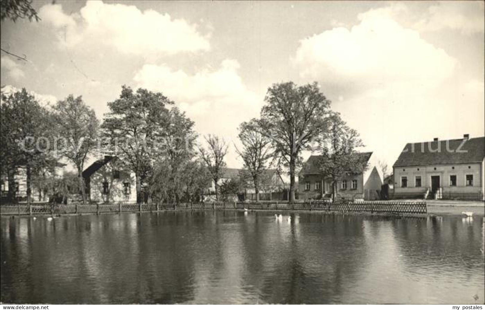 Bestensee Am Dorfteich