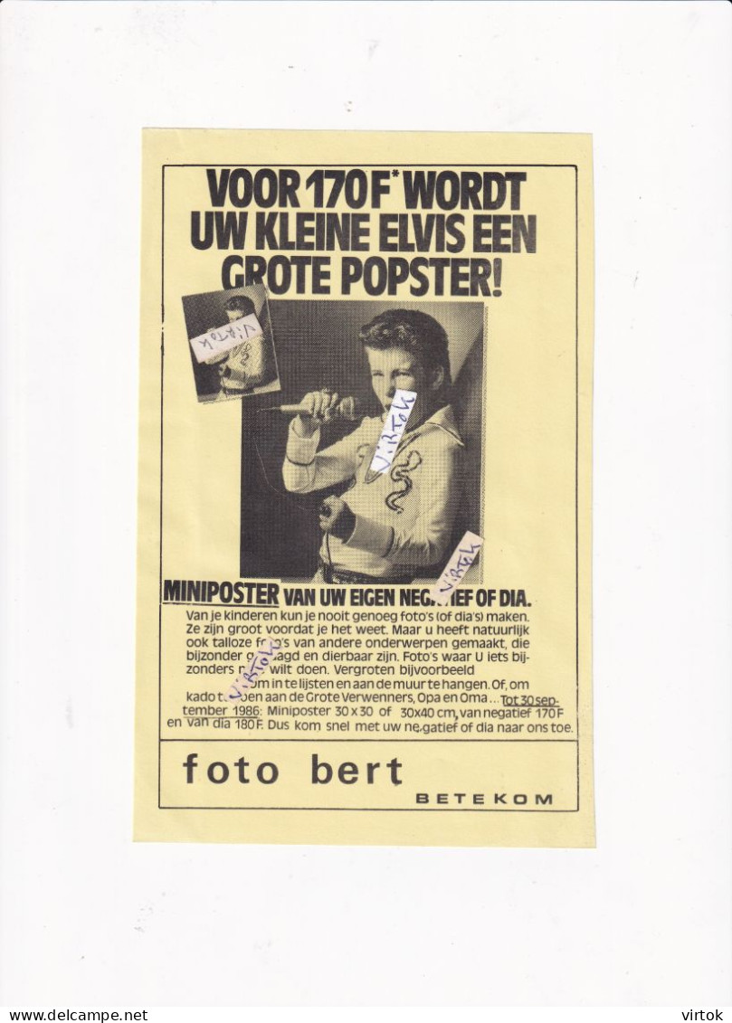 Betekom ( Begijnendijk ) :  foto BERT :  miniposter .........................................  21 x 13.5 cm