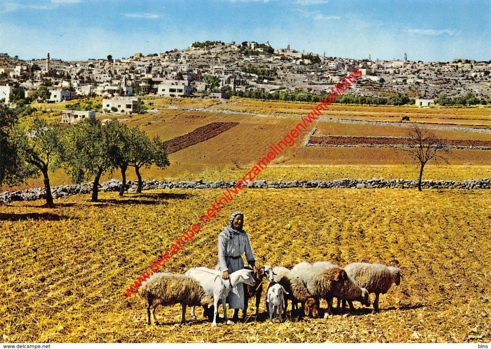 Bethlehem - Israel