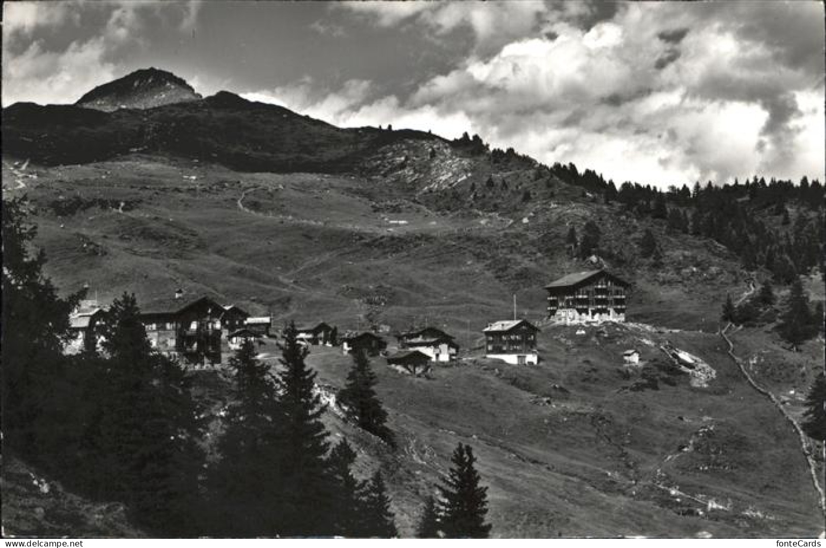 Bettmeralp Wurzenbord