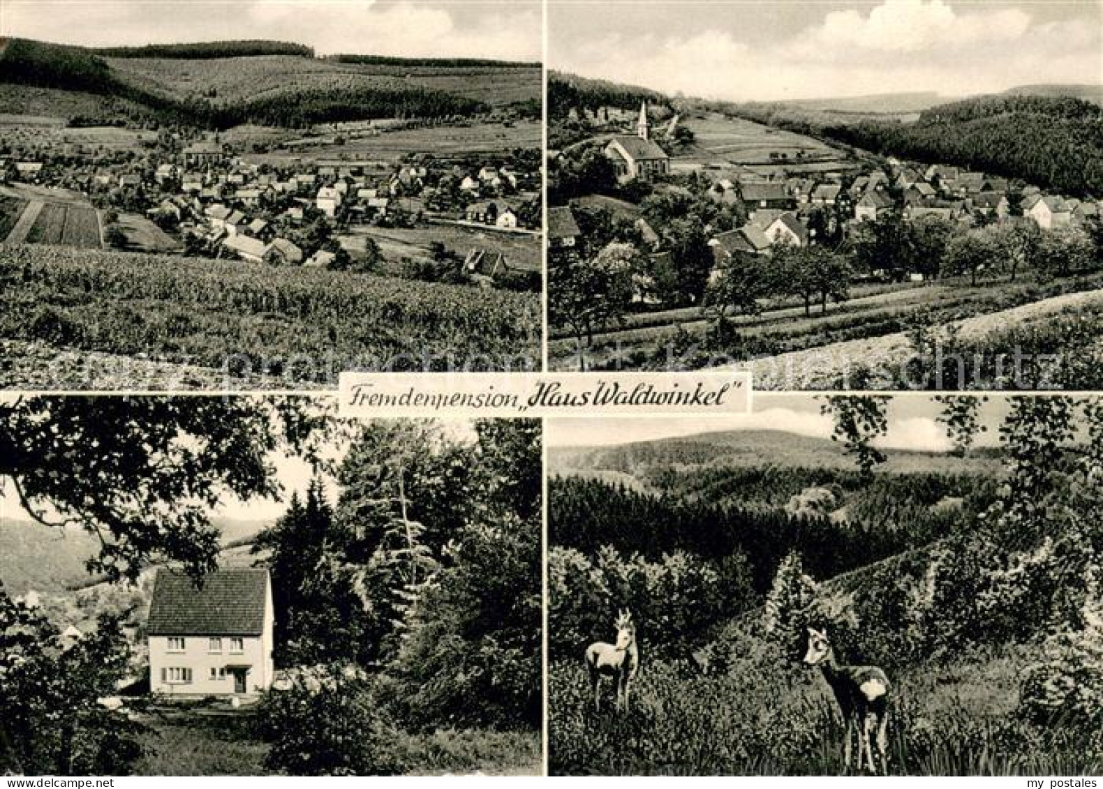 Betzdorf Sieg Gesamtansicht und Fremdenpension Haus Waldwinkel
