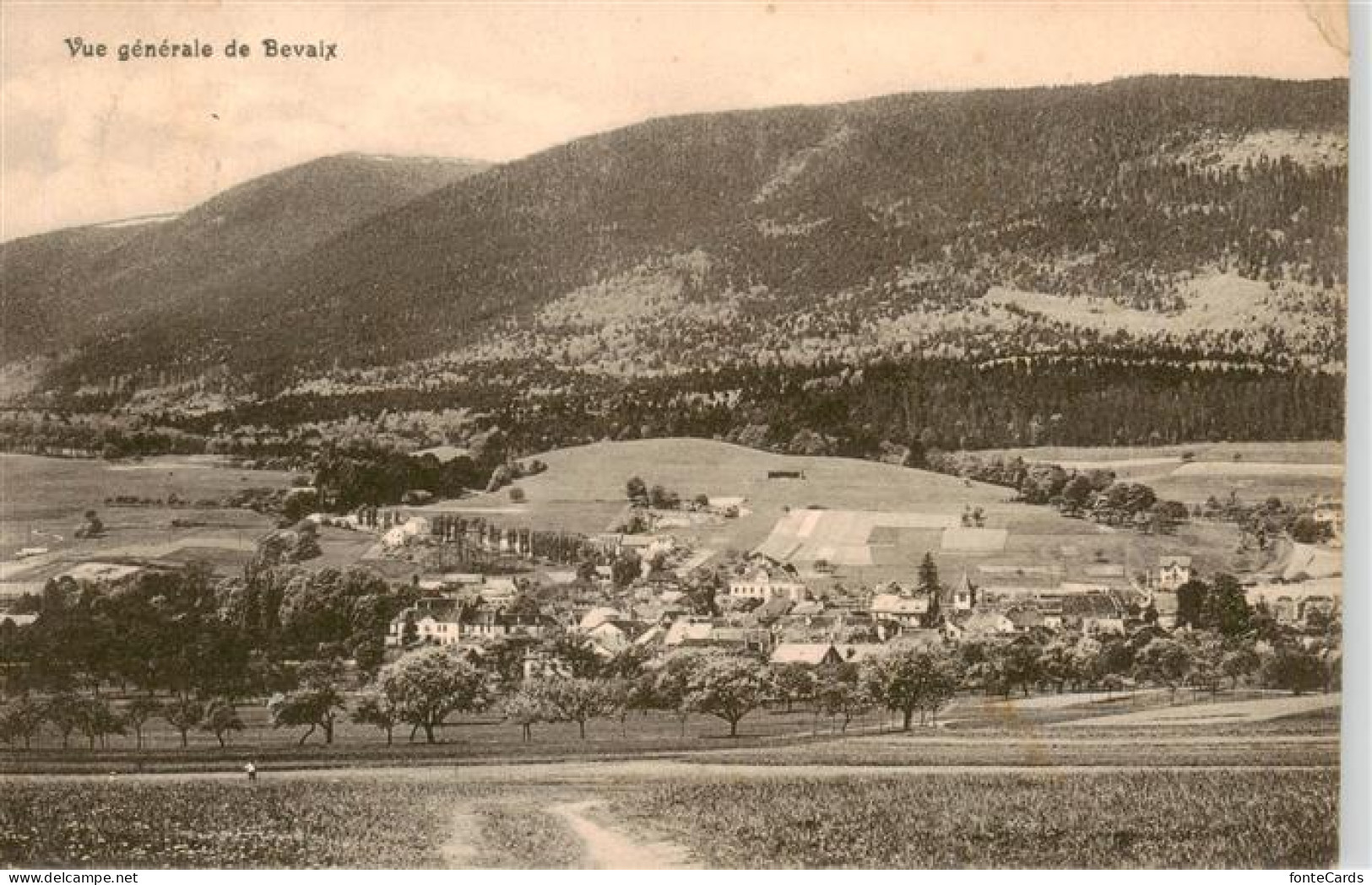 Bevaix NE Vue générale