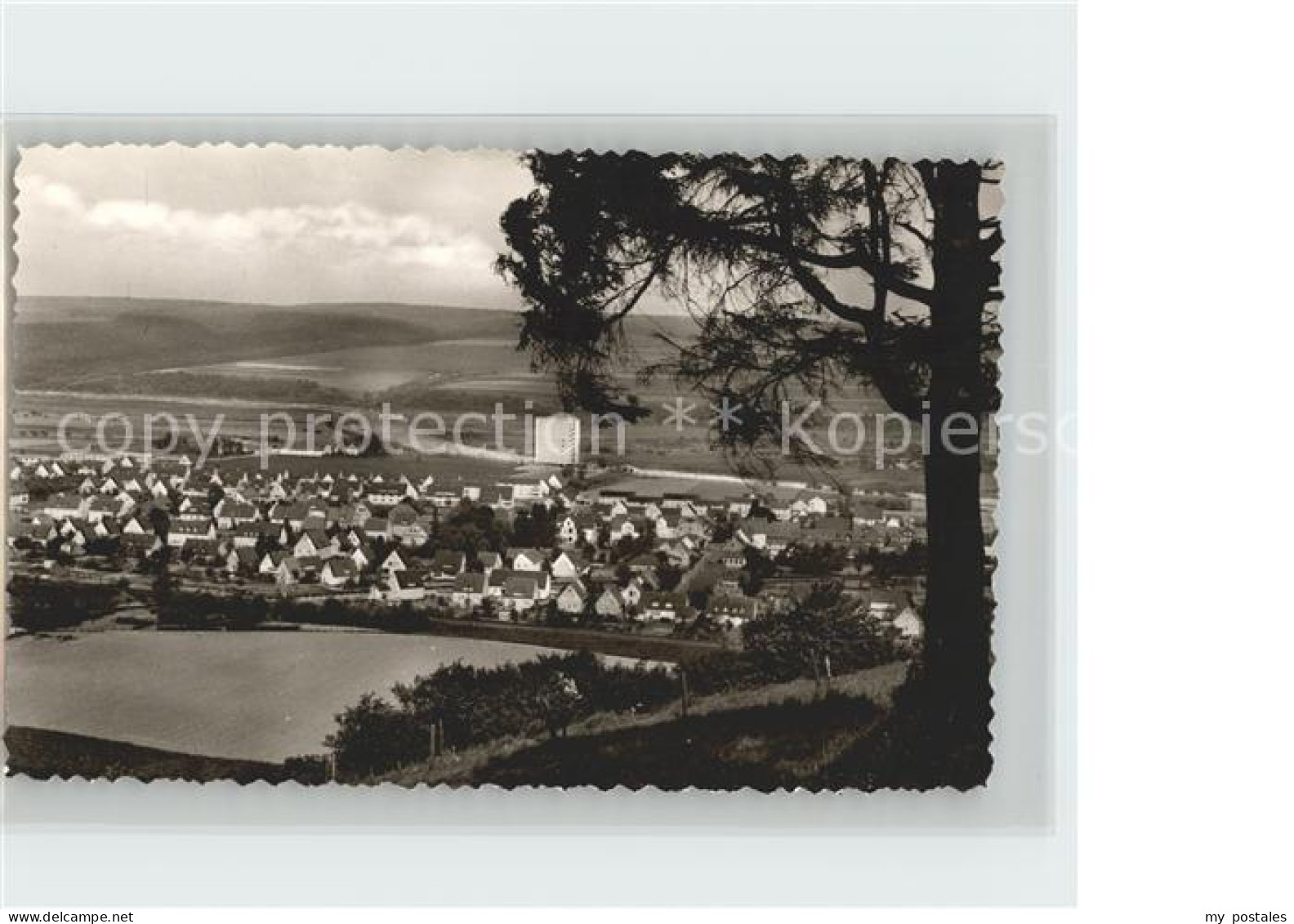 Beverungen Stadtansicht