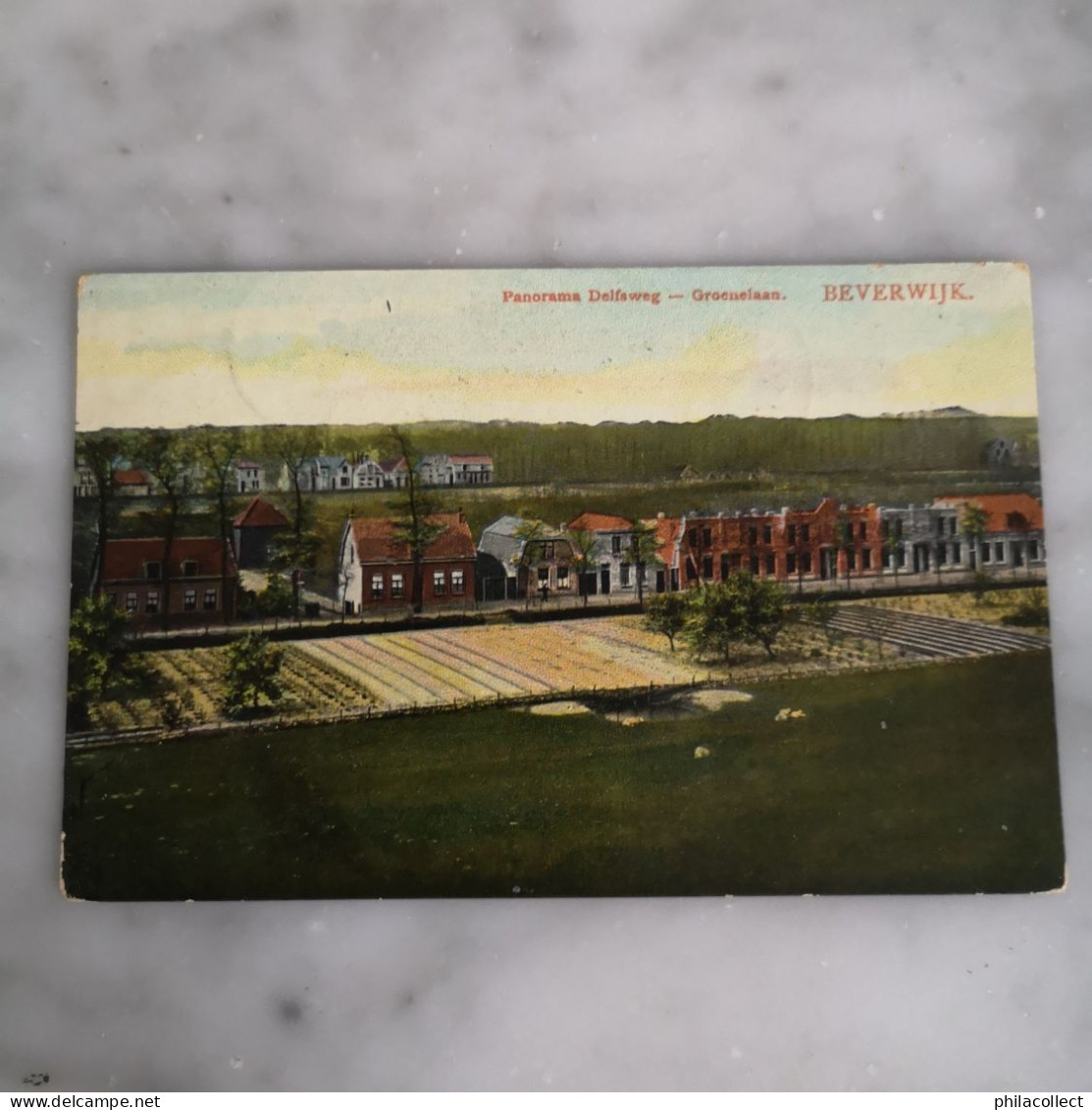 Beverwijk // Panorama Delfsweg - Groenelaan 1907 uitg. JHS
