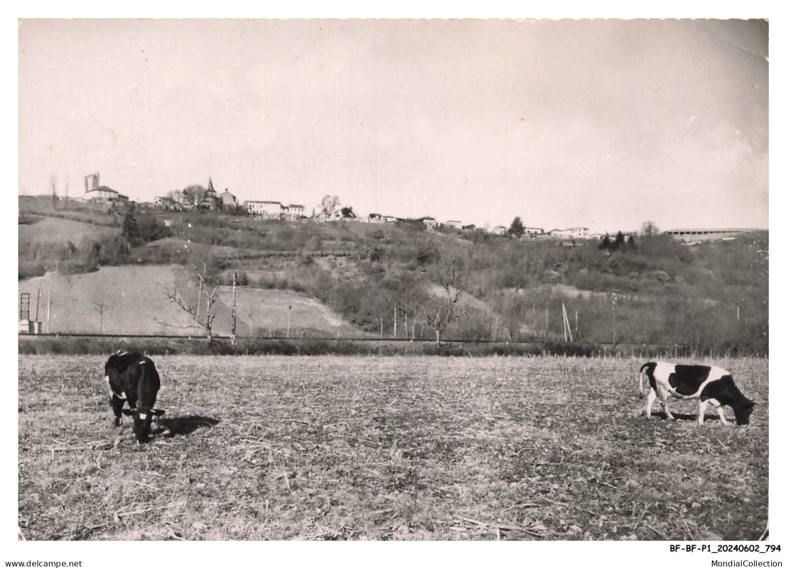 BF-BFP1-0398-65 - CASTELNAU-RIVIERE-BASSE - Vue générale