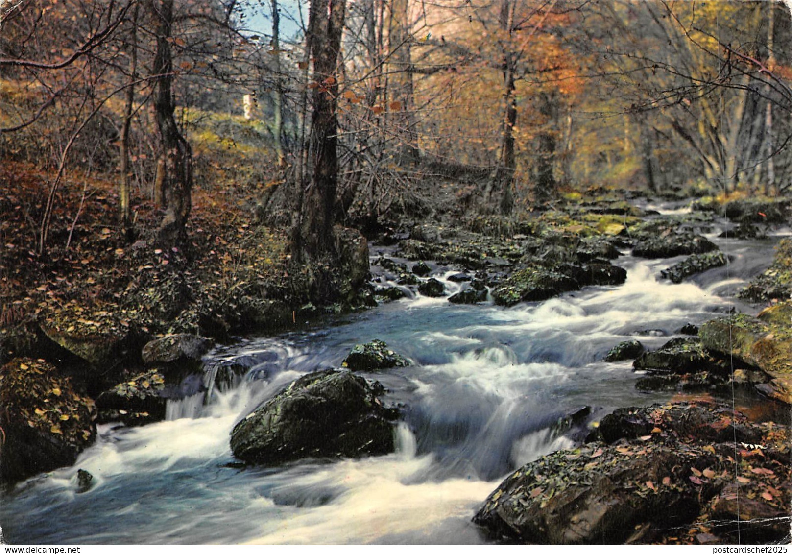 BF1259 france foret landscape  France