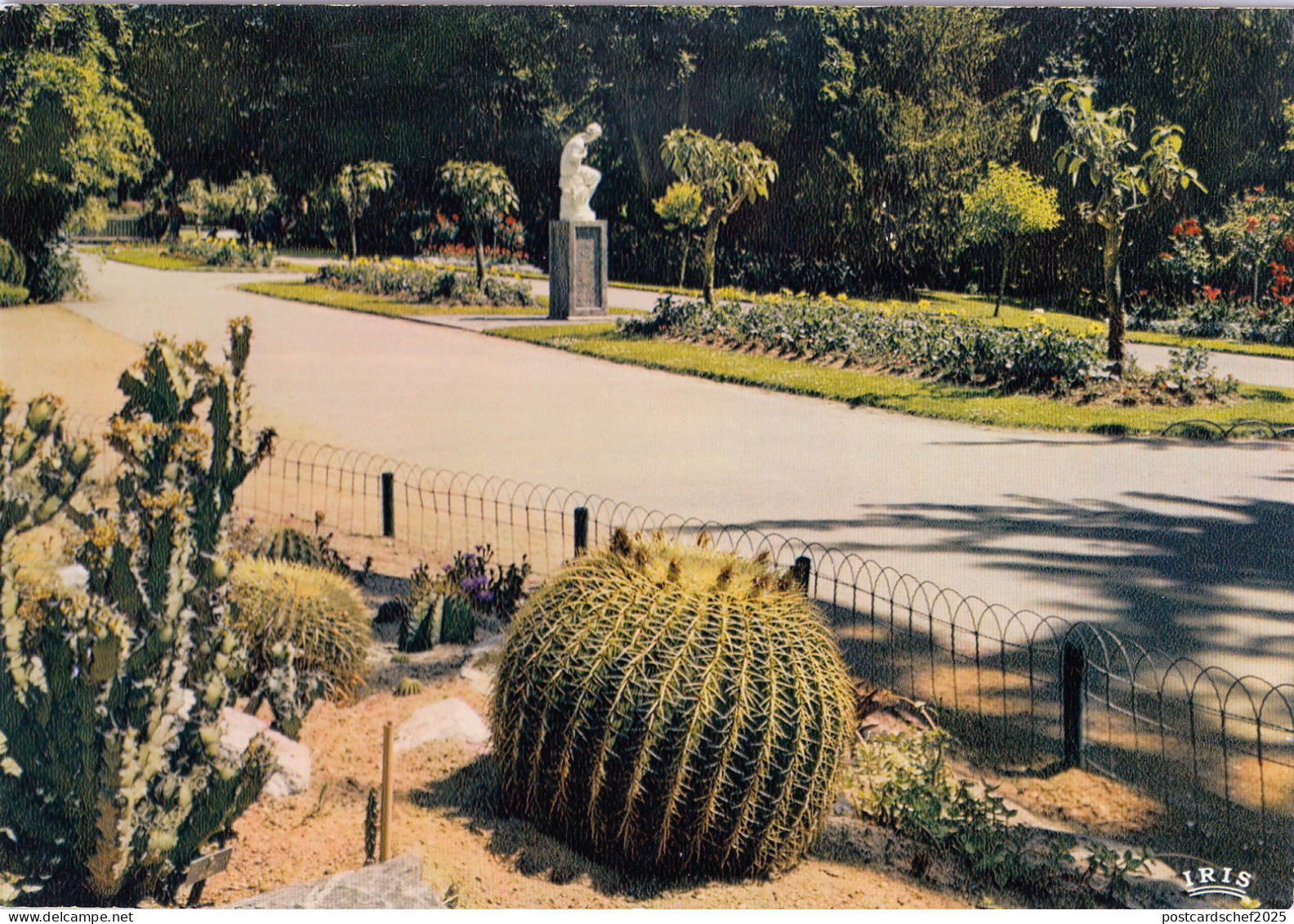 BF13286 jardin exotique au jardin des plantes angers  france front/back image