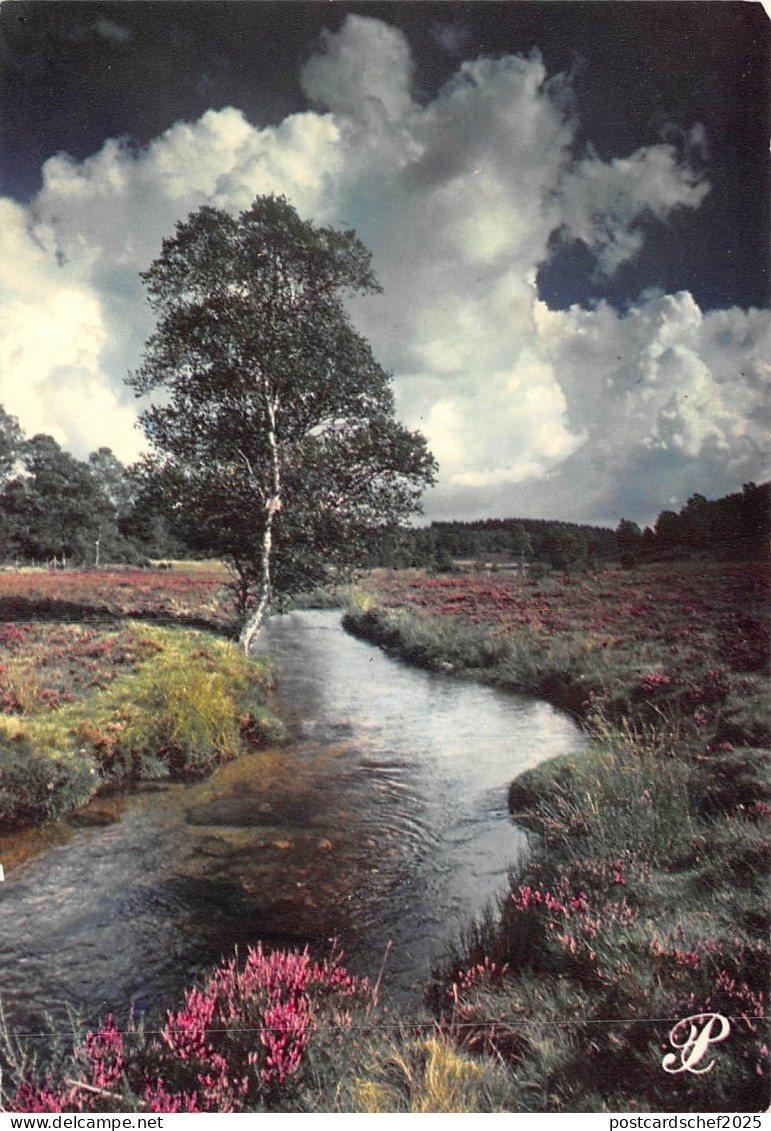 BF1755 Limousin    France