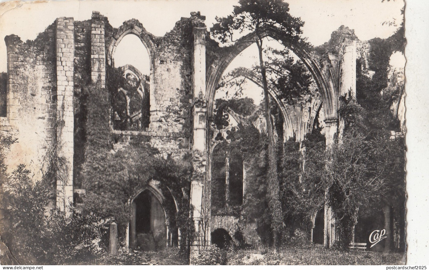 BF27222 dammarie les lys ruines de l abbye du lys   france  front/back image