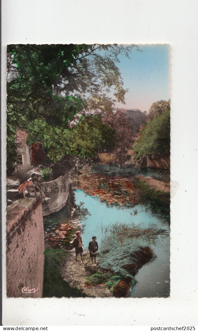BF27340 noyers sur serein yonne berges du serein  france  front/back image