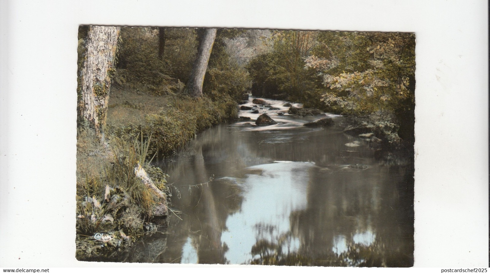 BF27801 landivy mayenn les bords de la futaie   france  front/back image