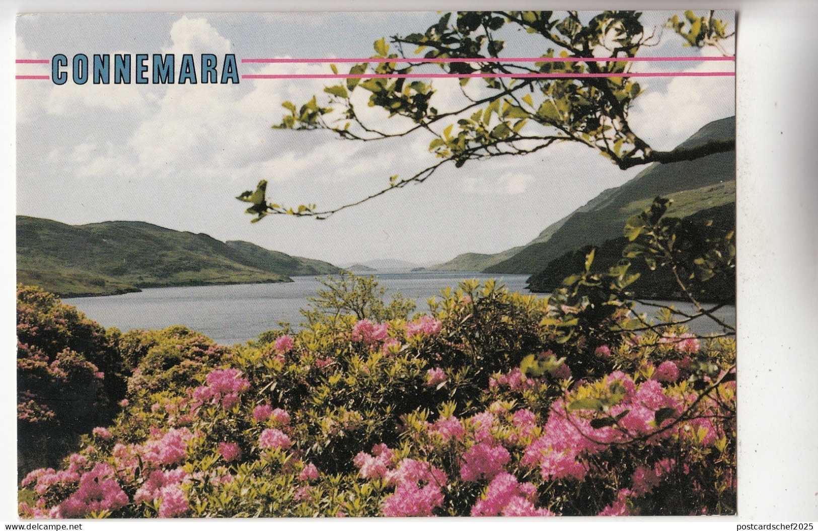 BF29528 connemara co galway   ireland   front/back image