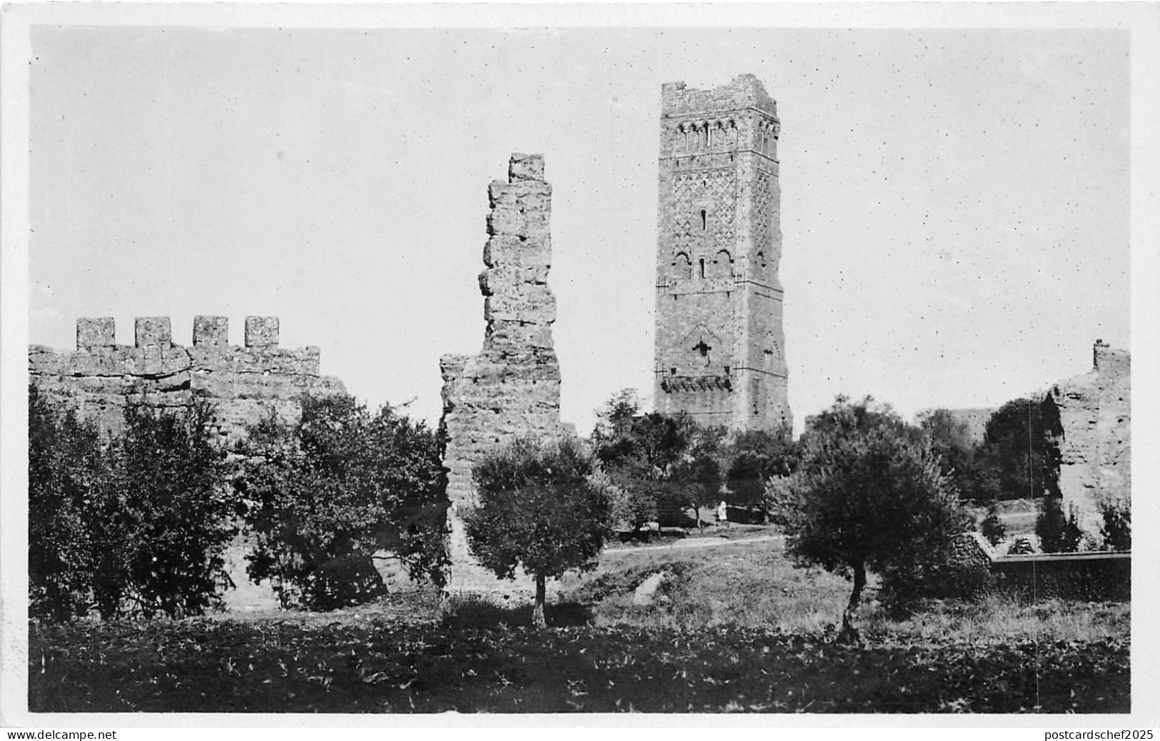 BF35736 tlemcen mansourah la tour et les ruines  algeria front/back scan