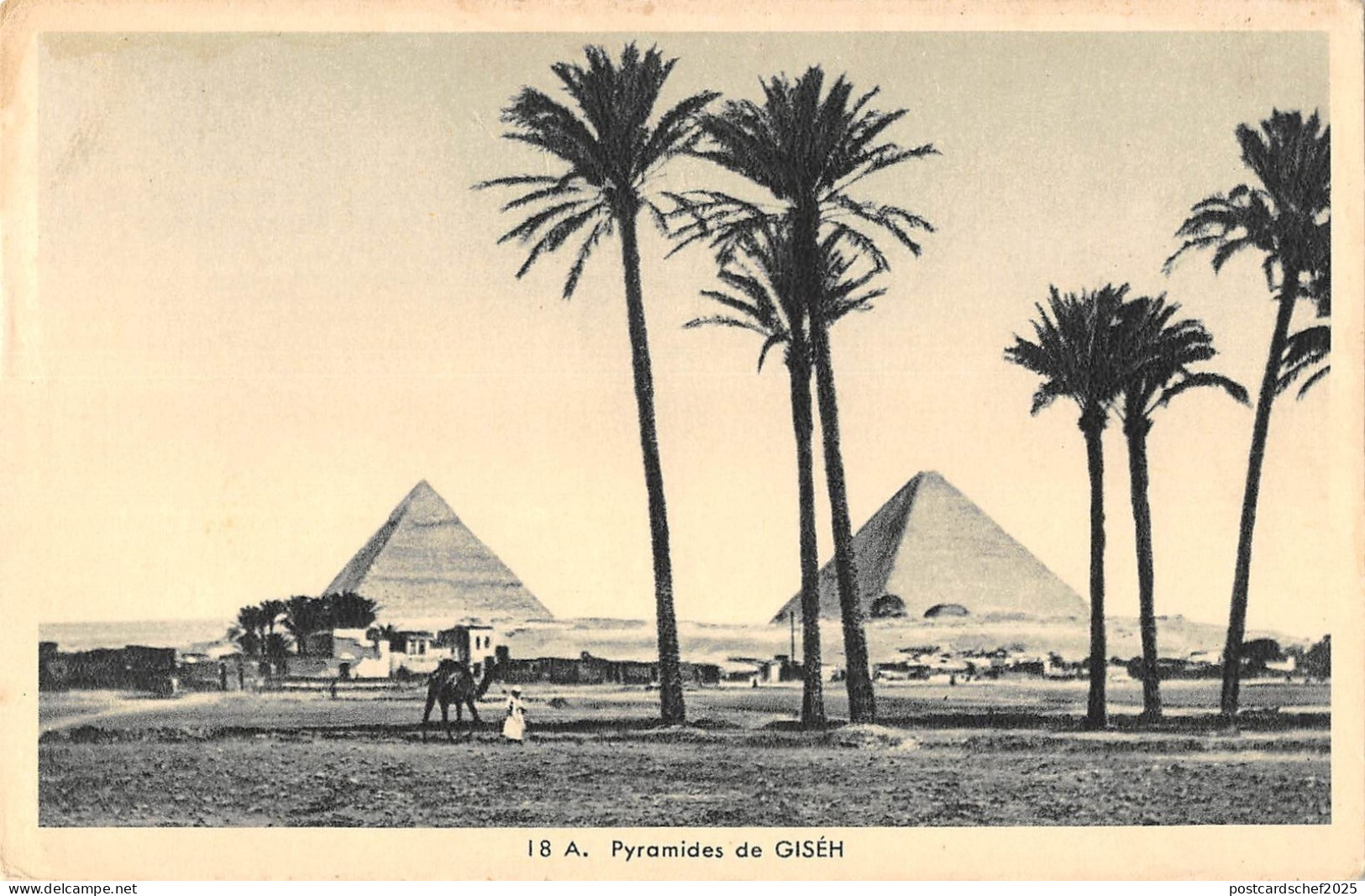 BF8717 pyramides de giseh egypt    Egypt