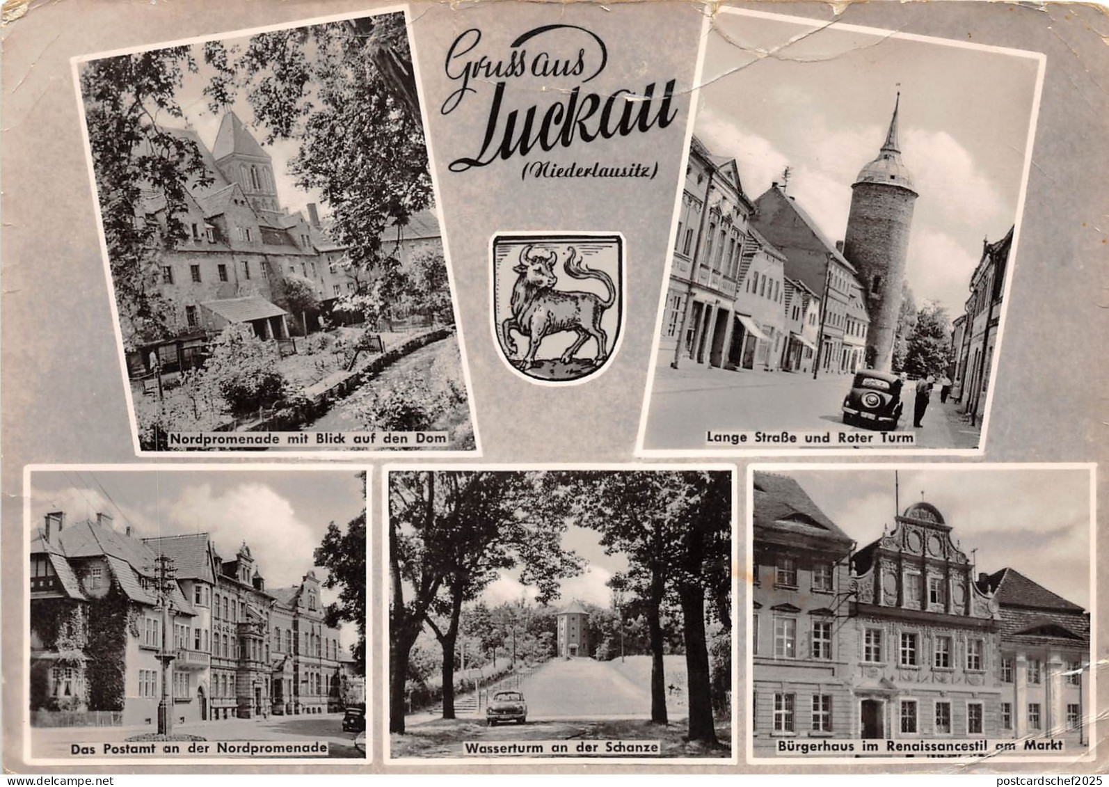 BG1003 luckau  niederlausitz car voiture   CPSM 14x9.5cm germany