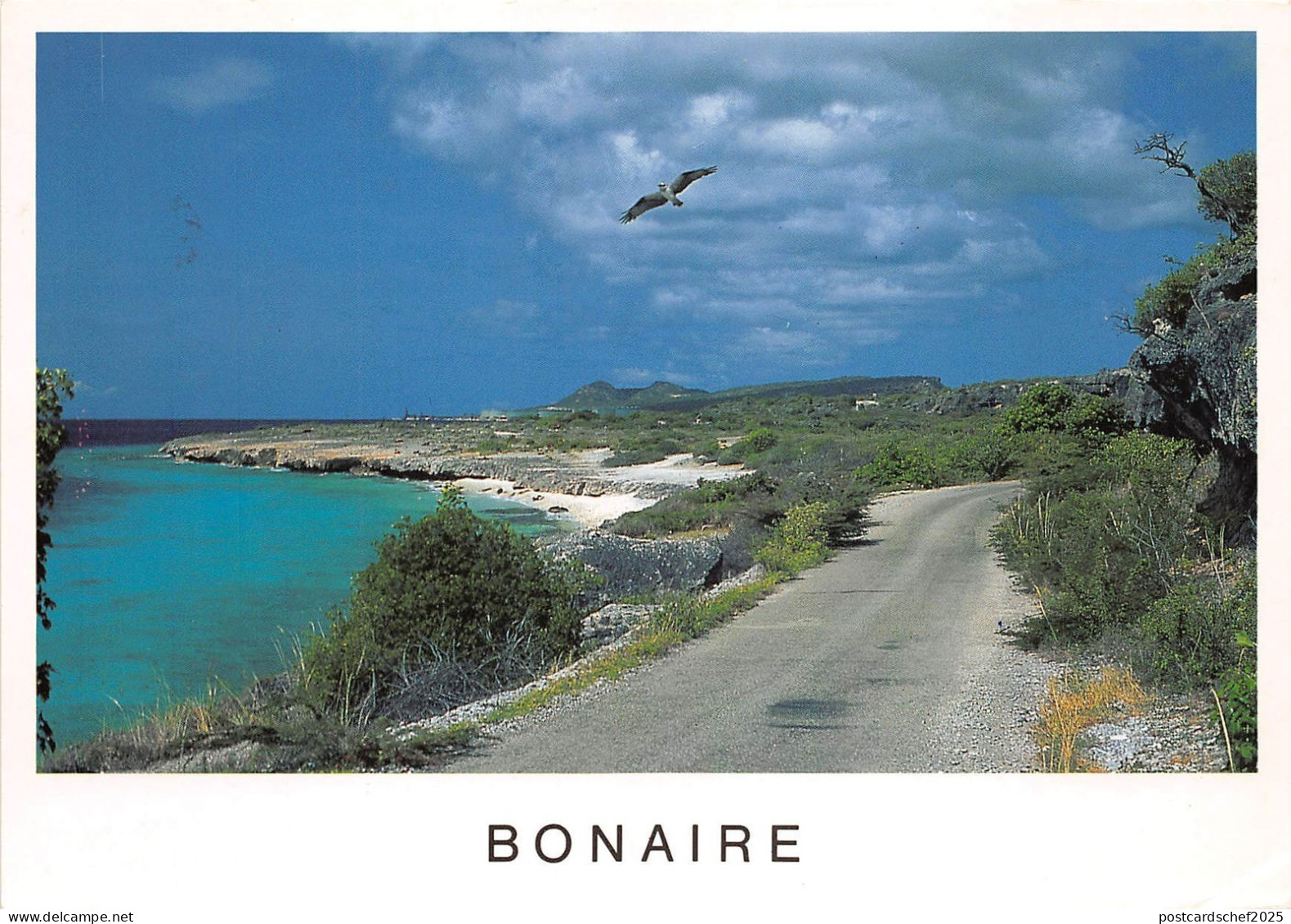 BG14308 bonaire netherlands antilles   caribbean islands