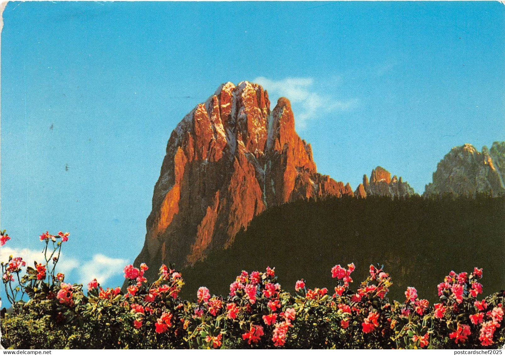 BG17734 val gardena dolomiti il sassolungo groden tal   italy