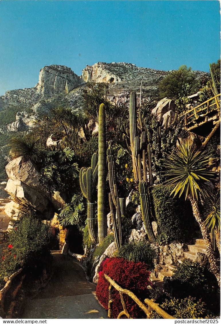 BG18350 monaco le jardin exotique   france