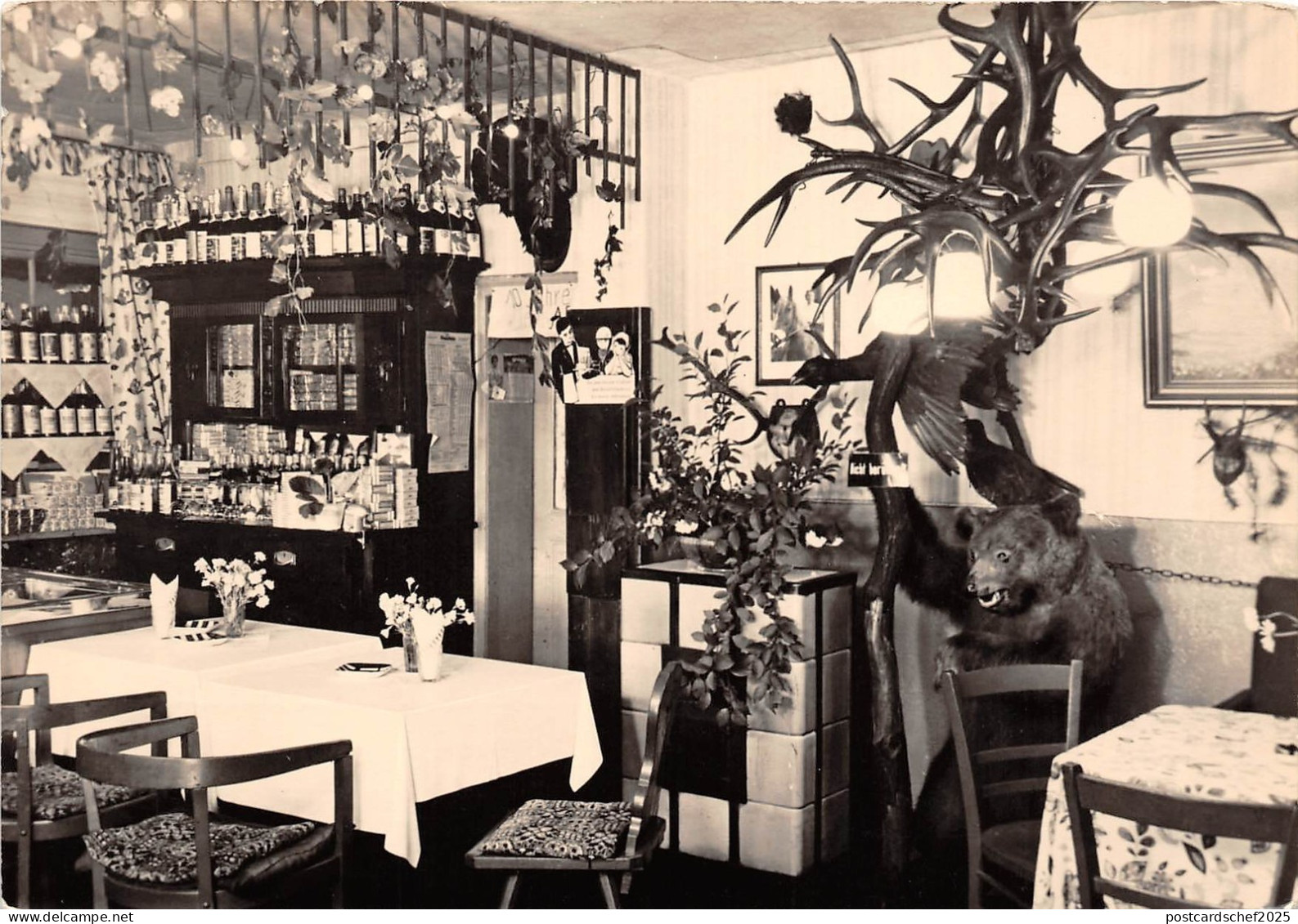 BG21750 klein afrika bar hotel vetschau  germany CPSM 14.5x9cm