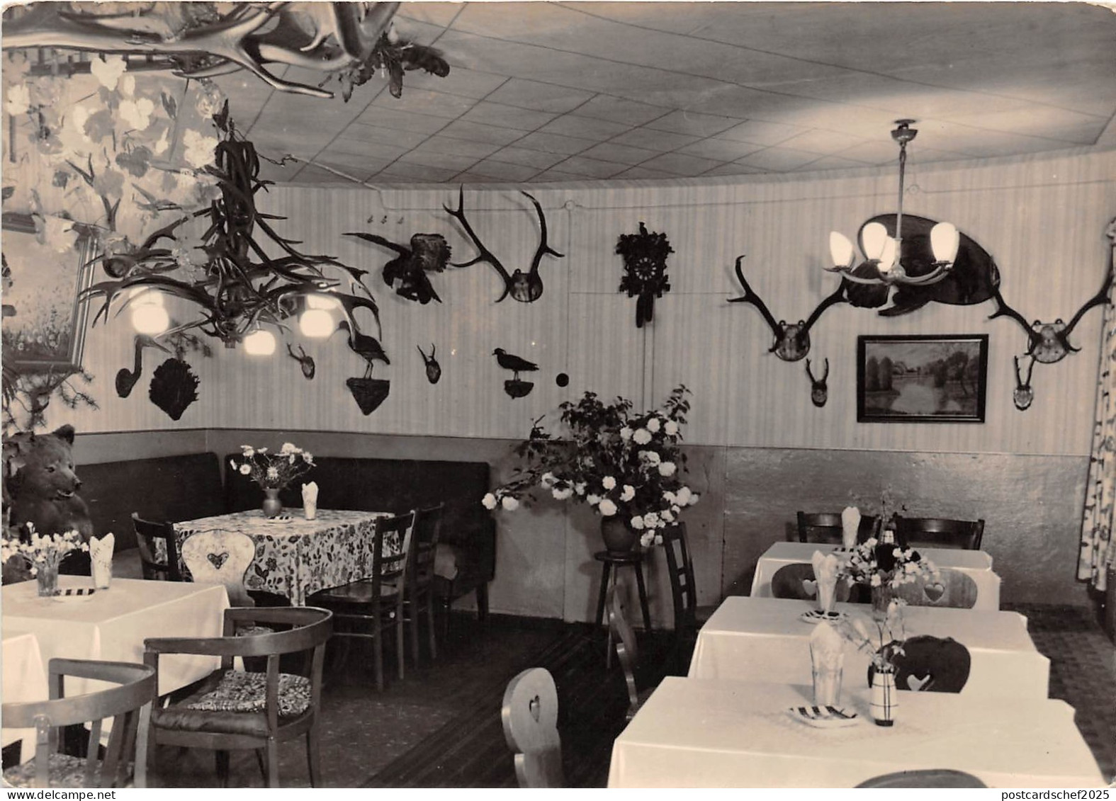 BG21751 gastraum  klein afrika bar hotel vetschau  germany CPSM 14.5x9cm